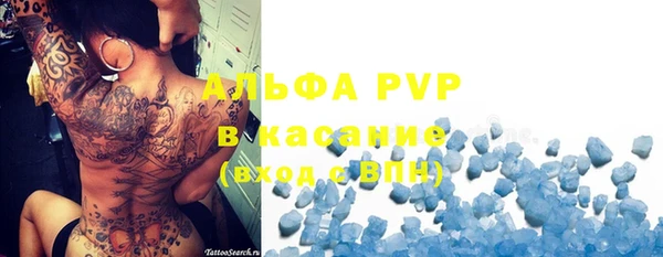 гидра Алексеевка
