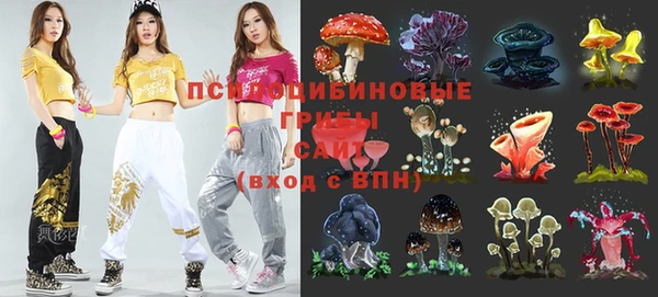 первитин Алексин